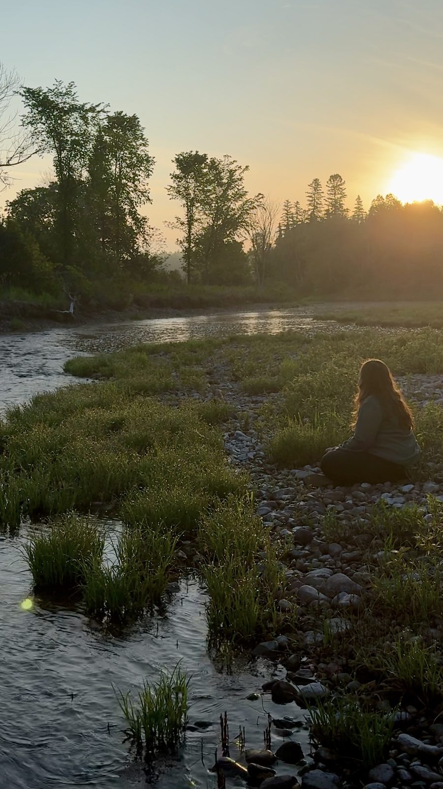 A shallow river winding through marsh grass with the sun low behind the treeline